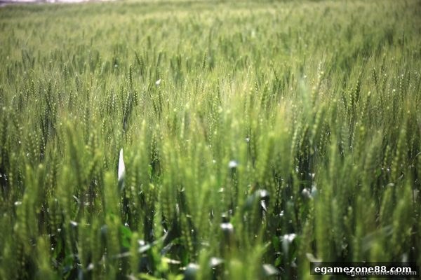 电子游艺场所首存优惠全解析：OG真人新用户福利与入金通道指南