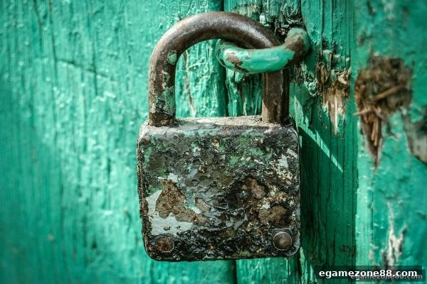 在电子游艺场所畅玩牛牛：全面守护网上娱乐安全的核心指南