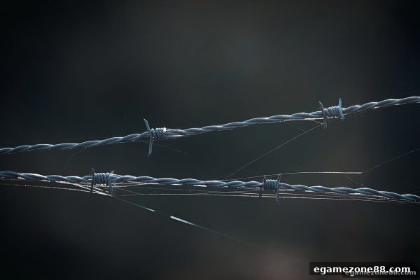 电子游艺场所许可证核查指南：BBIN平台合规性全解析