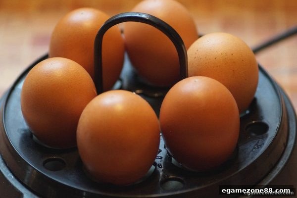 电子游艺场所免费旋转全面解析：触发条件、使用技巧与常见疑问解答